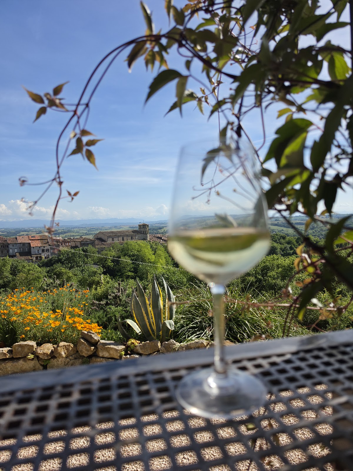 Verre de vin blanc avec un village et un paysage de montagnes en arrière-plan